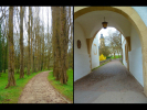 0019-Bad-Mergentheim