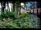 0419-HARZREISE-Sept2018