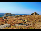 0444-HARZREISE-Sept2018
