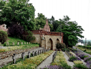 0046-ingelheim-bismturmtigergarten