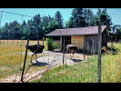 0005-SCHWETZINGEN-