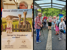 0008-SCHWETZINGEN-